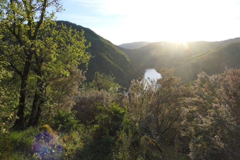Petite boucle des Contreforts du Lévezou